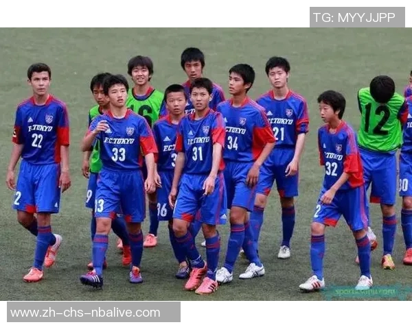 精英足球的崛起与发展探讨:从青训体系到职业联赛的全景分析 精英足球的崛起与发展探讨:从青训体系到职业联赛的全景分析